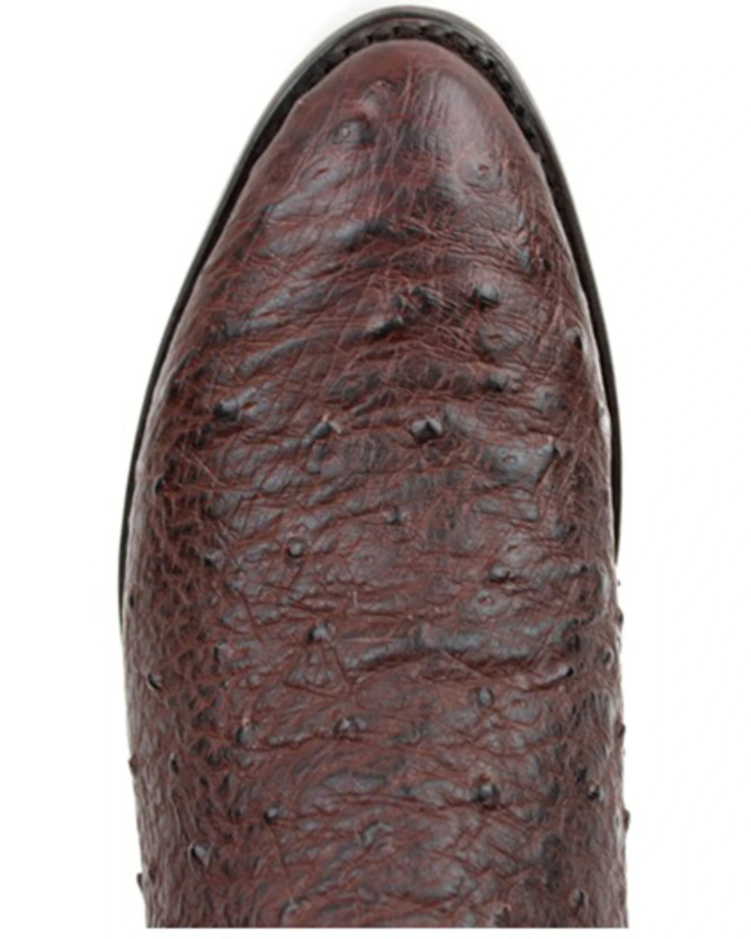 Dan Post Men's 12" Hand Ostrich Quill Exotic Western Boots - Medium Toe - Image 4